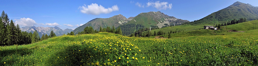 Salendo da Foppolo alla Quarta Baita sulla sterrata gippabile per il Montebello